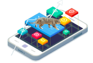 Sand Cat and Mobile App adaptability 